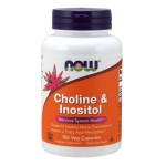 Now Foods Choline and Inositol, 500mg - 100 caps