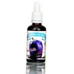 Funky Flavors Sweet Aromat Czekolada-śliwka - 50ml