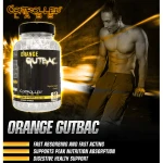 Controlled Orange GUTbac - 60caps
