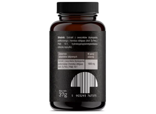 chaga-kapsulki (1).webp