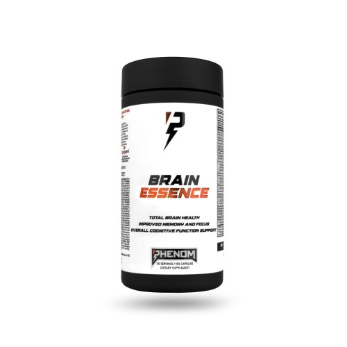 IMG_brain-scaled.jpg