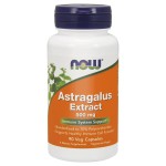 Now Foods Astragalus Extract, 500mg - 90 vcaps